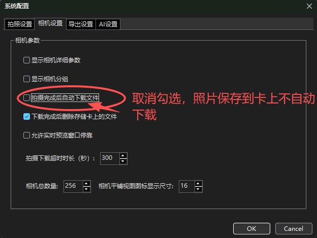 auto download setting